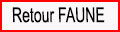 Retour faune