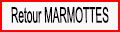 Retour page Marmottes