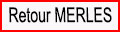 Retour page Merles