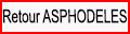 Retour page Asphodèles