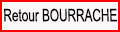 Retour Bourrache