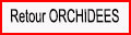 Retour Orchidées générales