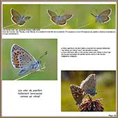 Le Mercantour Grandeur Nature