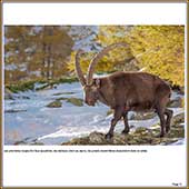 Le Mercantour Grandeur Nature