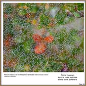 Le Mercantour Grandeur Nature