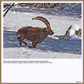 Le Mercantour Grandeur Nature