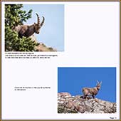 Le Mercantour Grandeur Nature