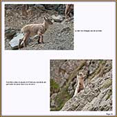 Le Mercantour Grandeur Nature