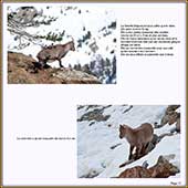 Le Mercantour Grandeur Nature