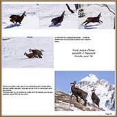 Le Mercantour Grandeur Nature