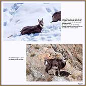 Le Mercantour Grandeur Nature