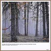 Le Mercantour Grandeur Nature