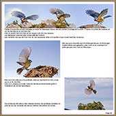 Le Mercantour Grandeur Nature