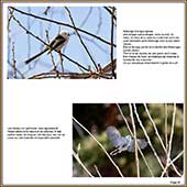 Le Mercantour Grandeur Nature