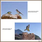 Le Mercantour Grandeur Nature