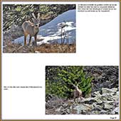 Le Mercantour Grandeur Nature