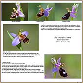 Le Mercantour Grandeur Nature