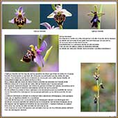 Le Mercantour Grandeur Nature