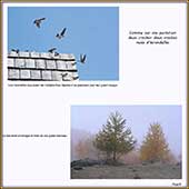 Le Mercantour Grandeur Nature