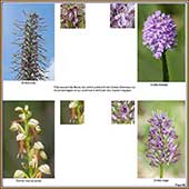 Le Mercantour Grandeur Nature