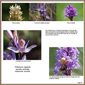 Le Mercantour Grandeur Nature