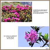 Le Mercantour Grandeur Nature