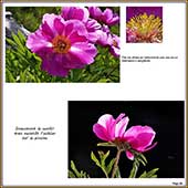 Le Mercantour Grandeur Nature