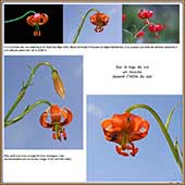 Le Mercantour Grandeur Nature