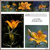 Le Mercantour Grandeur Nature