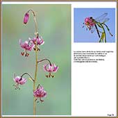 Le Mercantour Grandeur Nature