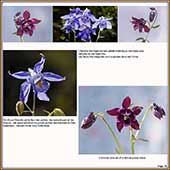 Le Mercantour Grandeur Nature