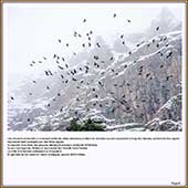 Le Mercantour Grandeur Nature