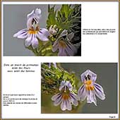 Le Mercantour Grandeur Nature