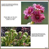 Le Mercantour Grandeur Nature