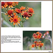 Le Mercantour Grandeur Nature