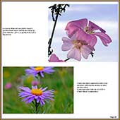 Le Mercantour Grandeur Nature