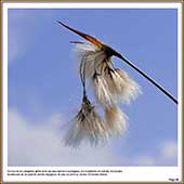 Le Mercantour Grandeur Nature