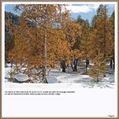 Le Mercantour Grandeur Nature