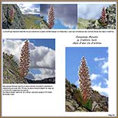 Le Mercantour Grandeur Nature