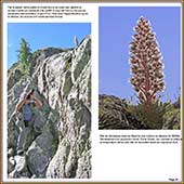 Le Mercantour Grandeur Nature