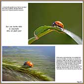 Le Mercantour Grandeur Nature