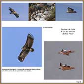 Le Mercantour Grandeur Nature