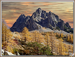 AUTOMNE