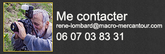 Me contacter